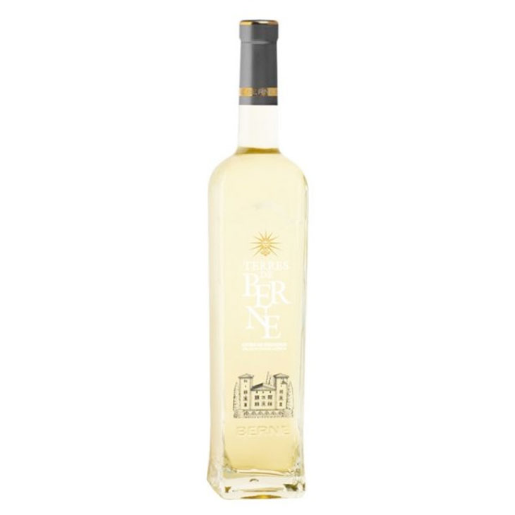 Vignobles de Berne – Terre de berne – Côtes de Provence blanc