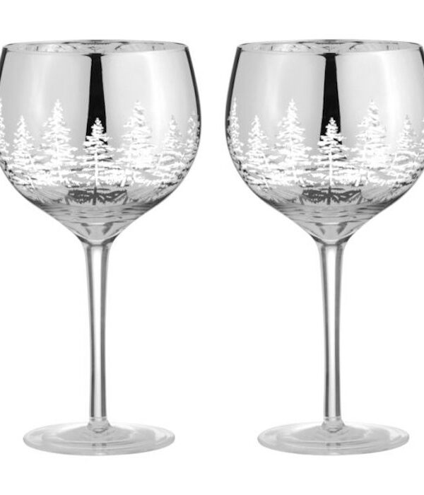 Set 2 Verres à Gin Alpine Silver - ARTLAND